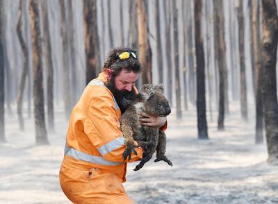 Miles de animales han muerto como consecuencia de los incendios forestales en Australia, según datos oficiales.
