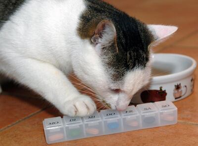 /pf/resources/images/abc-placeholder.png?d=2395