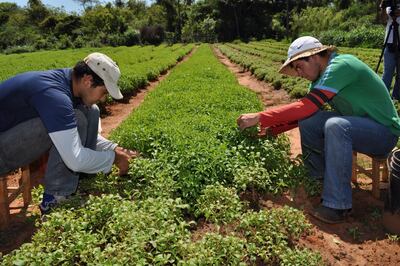 /pf/resources/images/abc-placeholder.png?d=2420