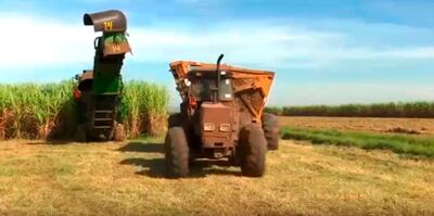 Cosecha mecanizada de caña de azúcar: Uno de los bloques de  este programa.