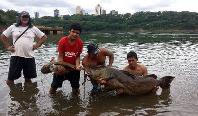 /pf/resources/images/abc-placeholder.png?d=2420