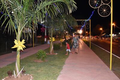 Otra parte del extenso caminero adornado.