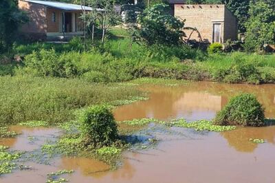 Imagen sin descripción