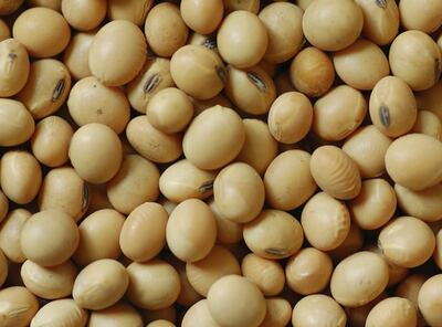 RURALES INTERNACIONALES