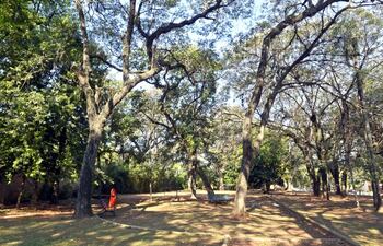 parque-pavetti-en-peligro-de-extincion-235224000000-1127624.jpg