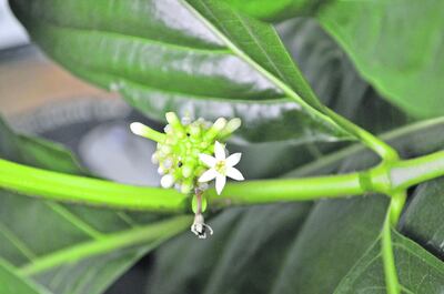 /pf/resources/images/abc-placeholder.png?d=2421