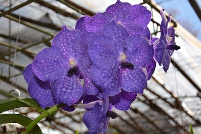 /pf/resources/images/abc-placeholder.png?d=2394