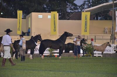 /pf/resources/images/abc-placeholder.png?d=2424