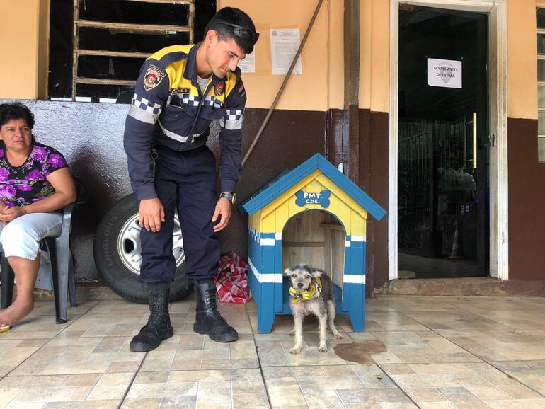 La perrita que mordió a Kelembú se llenó de atenciones.