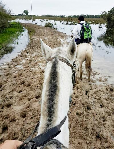 /pf/resources/images/abc-placeholder.png?d=2398