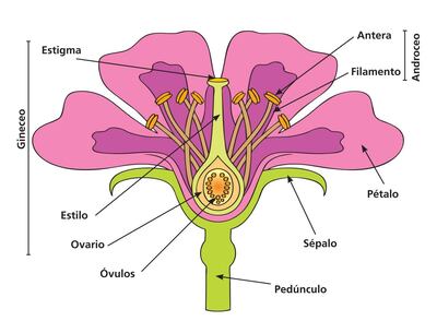 /pf/resources/images/abc-placeholder.png?d=2421