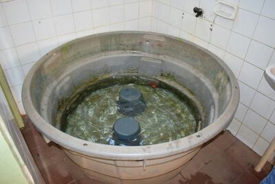 /pf/resources/images/abc-placeholder.png?d=2393