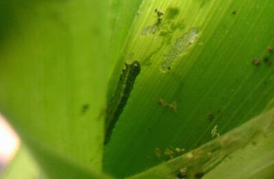 /pf/resources/images/abc-placeholder.png?d=2402