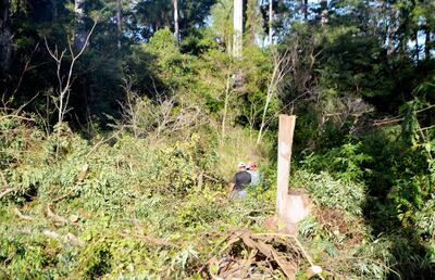 /pf/resources/images/abc-placeholder.png?d=2393