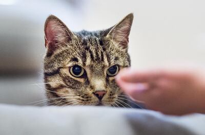 /pf/resources/images/abc-placeholder.png?d=2394