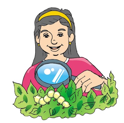 /pf/resources/images/abc-placeholder.png?d=2449