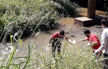 Las muestras fueron levantadas en la cuenca de lago.