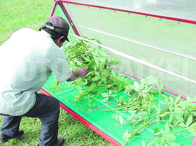 /pf/resources/images/abc-placeholder.png?d=2420