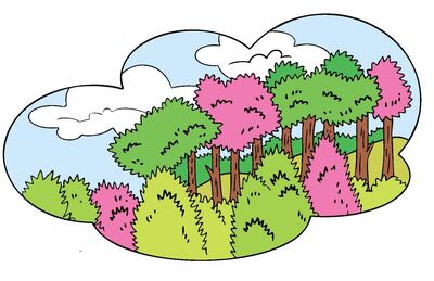 Imagen sin descripción