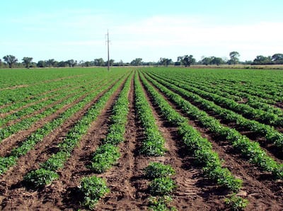 /pf/resources/images/abc-placeholder.png?d=2394