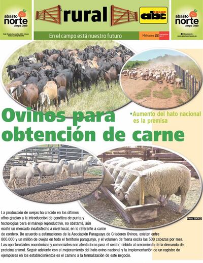 /pf/resources/images/abc-placeholder.png?d=2449