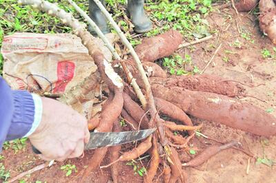 Imagen sin descripción