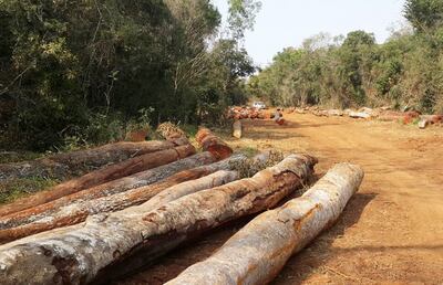 Impune destrucción de una reserva