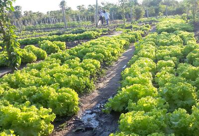 /pf/resources/images/abc-placeholder.png?d=2397