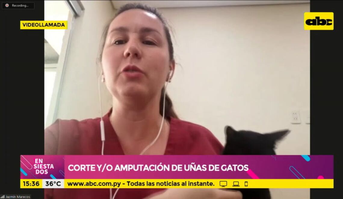 Background ABCTV JWP