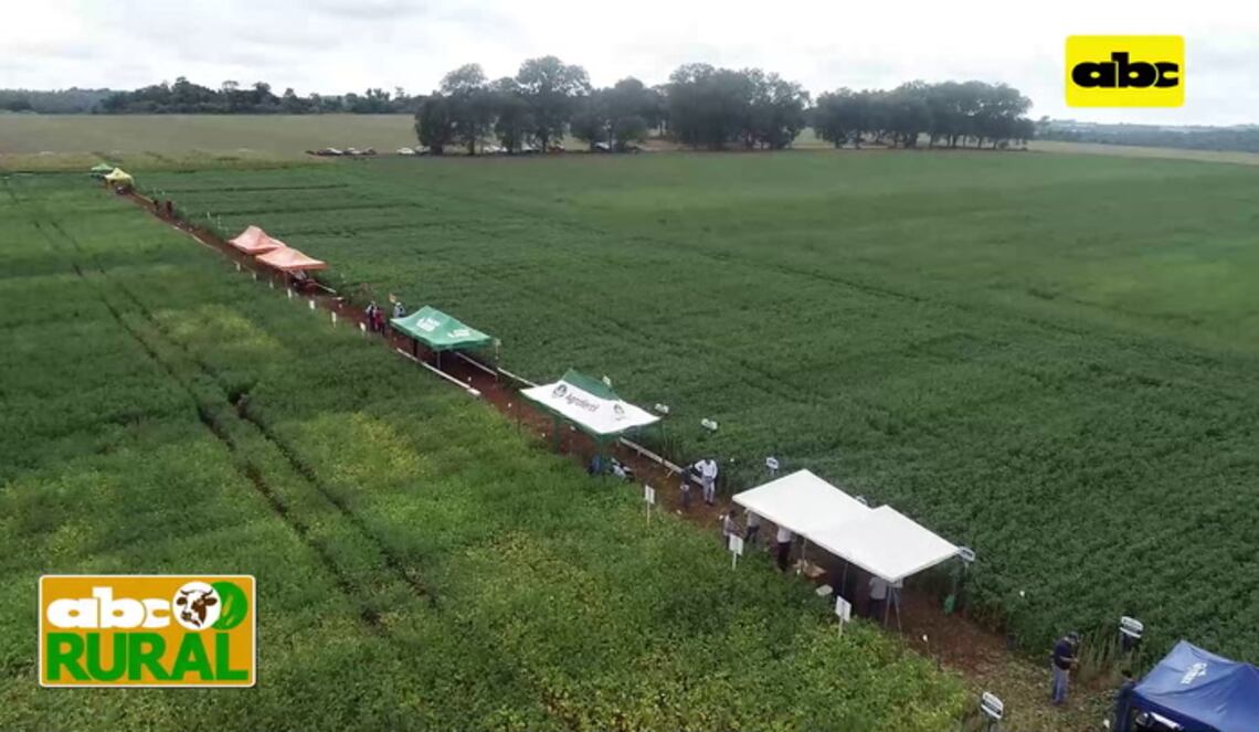 Background ABCTV JWP