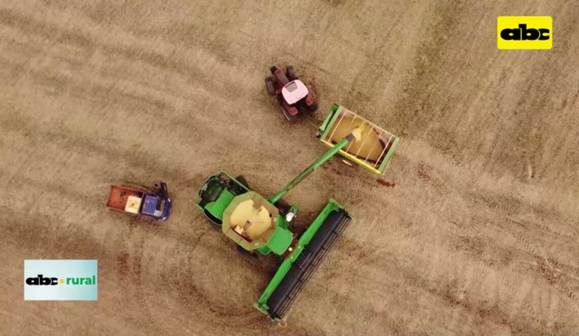 Background ABCTV JWP