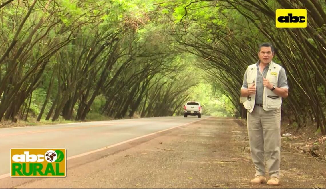 Background ABCTV JWP