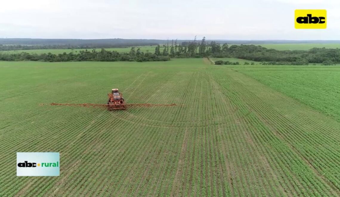 Background ABCTV JWP