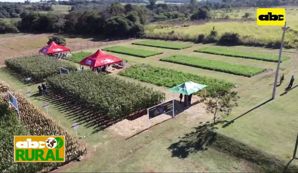 Background ABCTV JWP