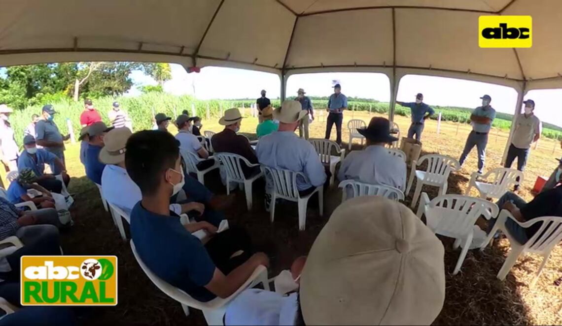 Background ABCTV JWP