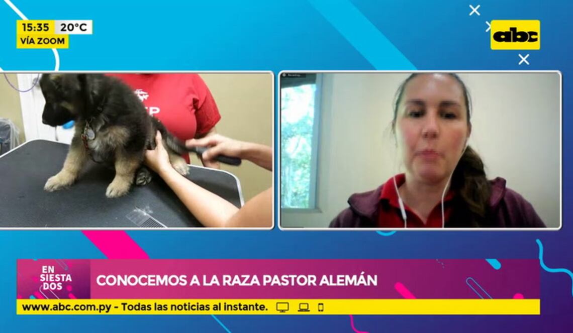 Background ABCTV JWP