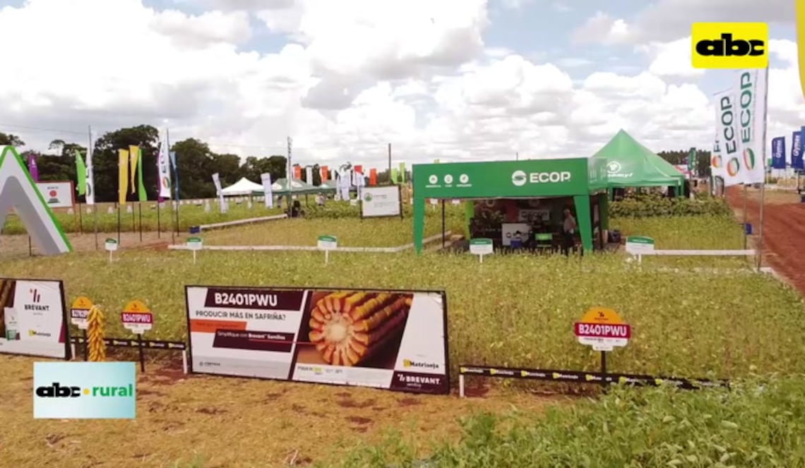 Background ABCTV JWP