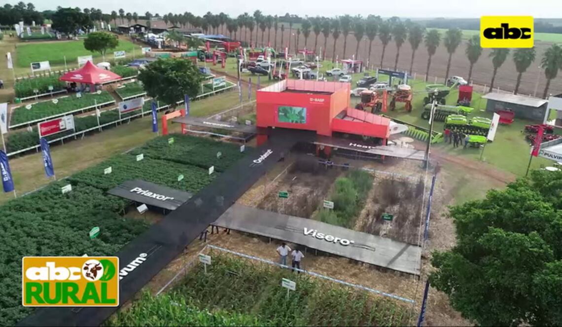 Background ABCTV JWP