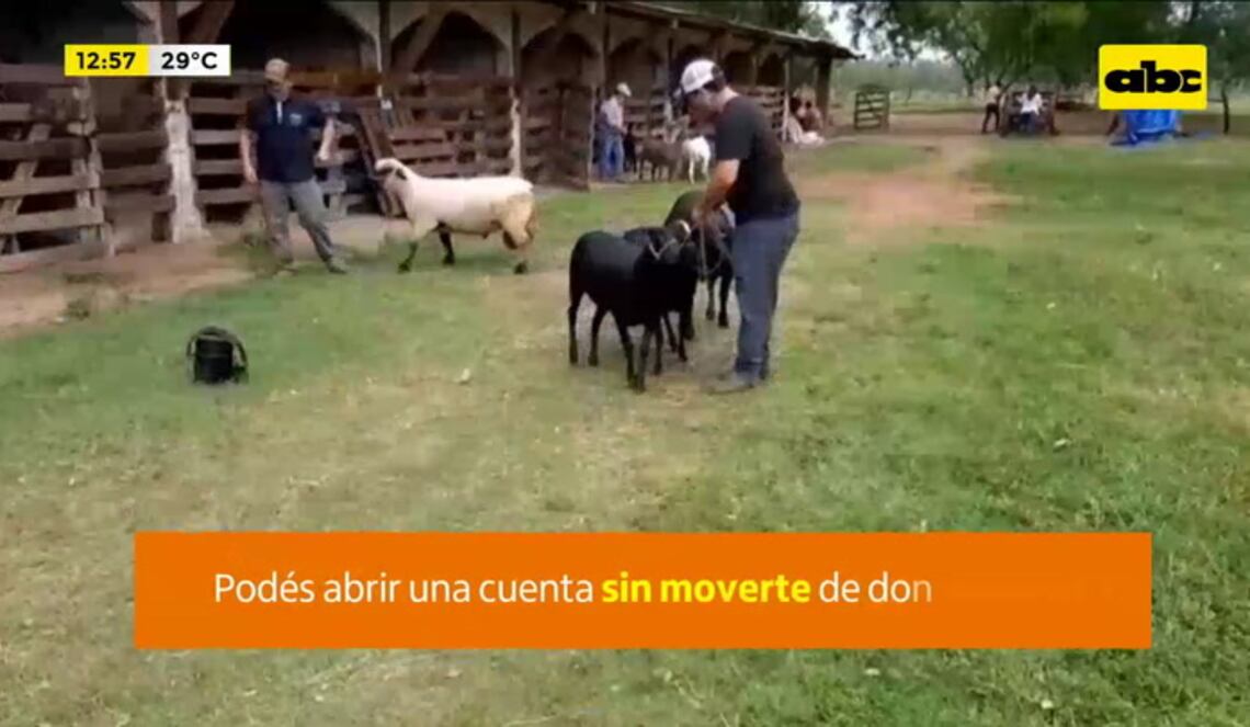 Background ABCTV JWP