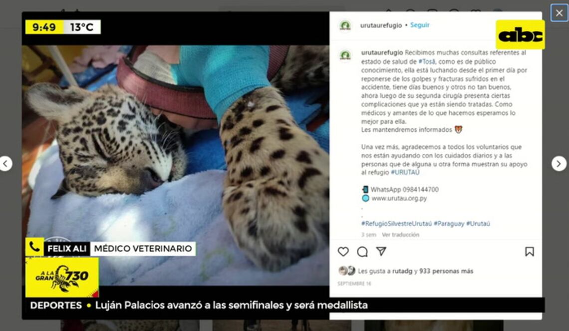 Background ABCTV JWP