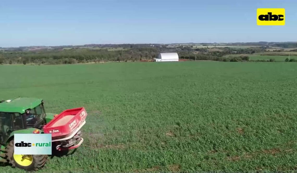 Background ABCTV JWP