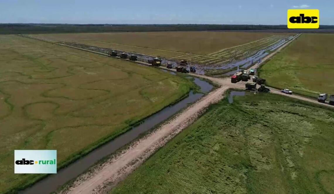 Background ABCTV JWP