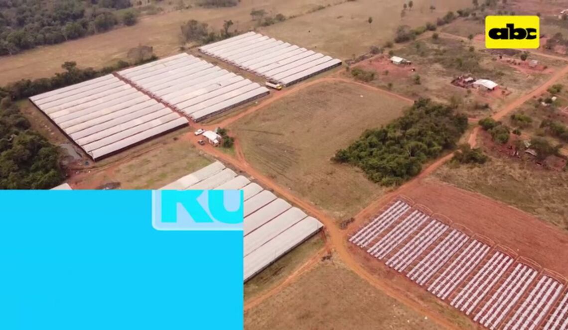 Background ABCTV JWP