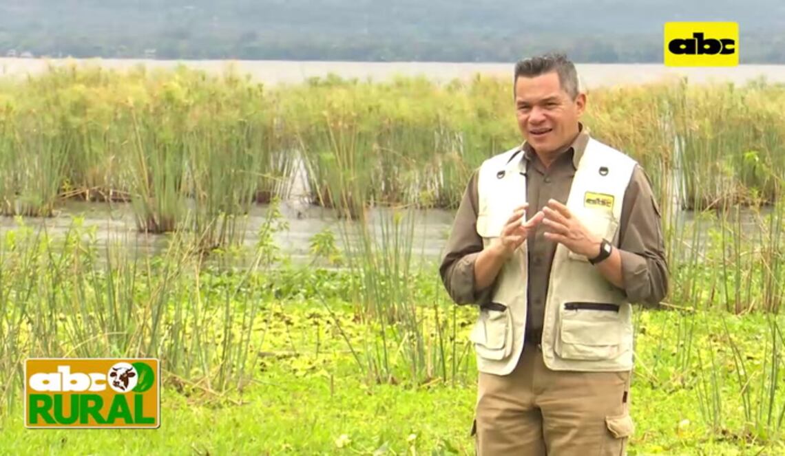 Background ABCTV JWP