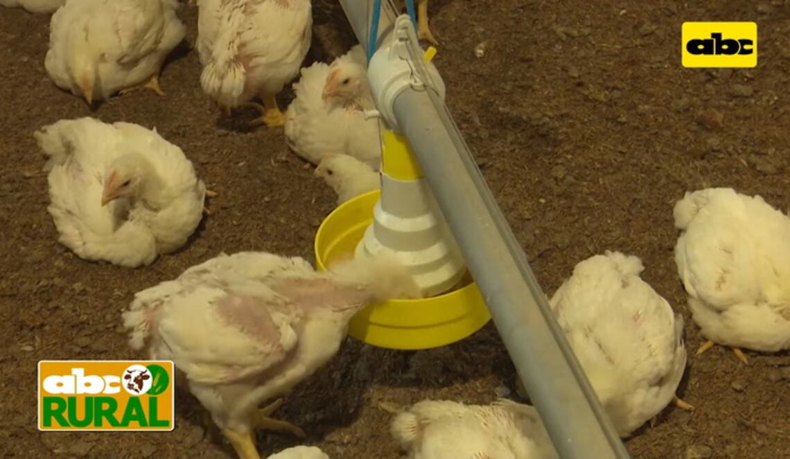 Background ABCTV JWP