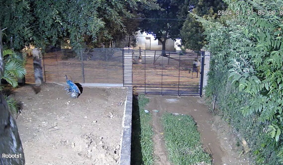 Background ABCTV JWP