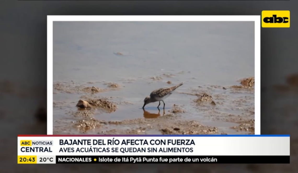 Background ABCTV JWP