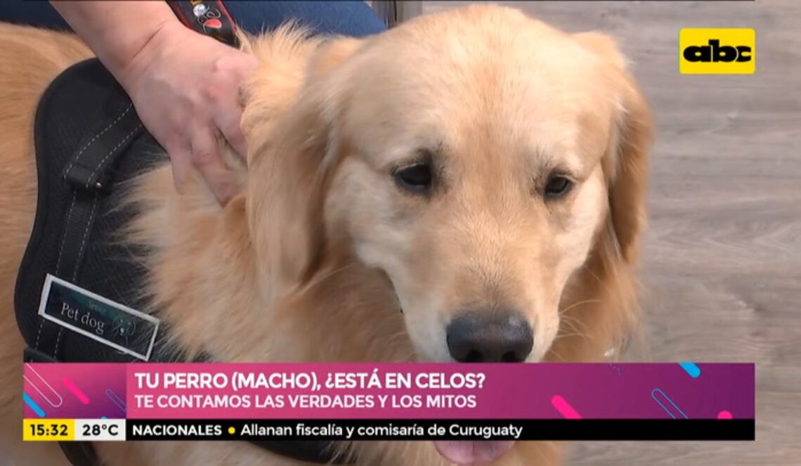 Background ABCTV JWP