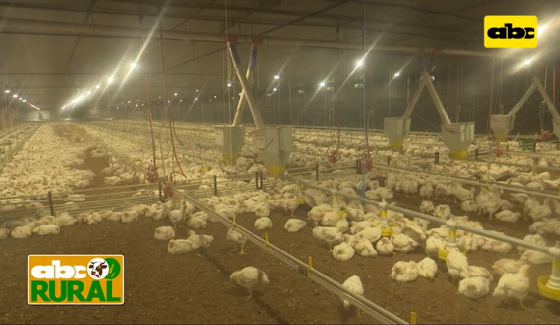 Background ABCTV JWP