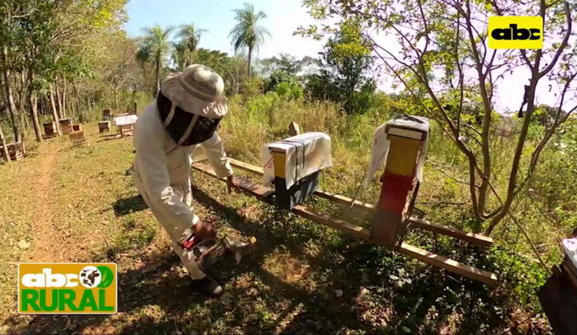 Background ABCTV JWP